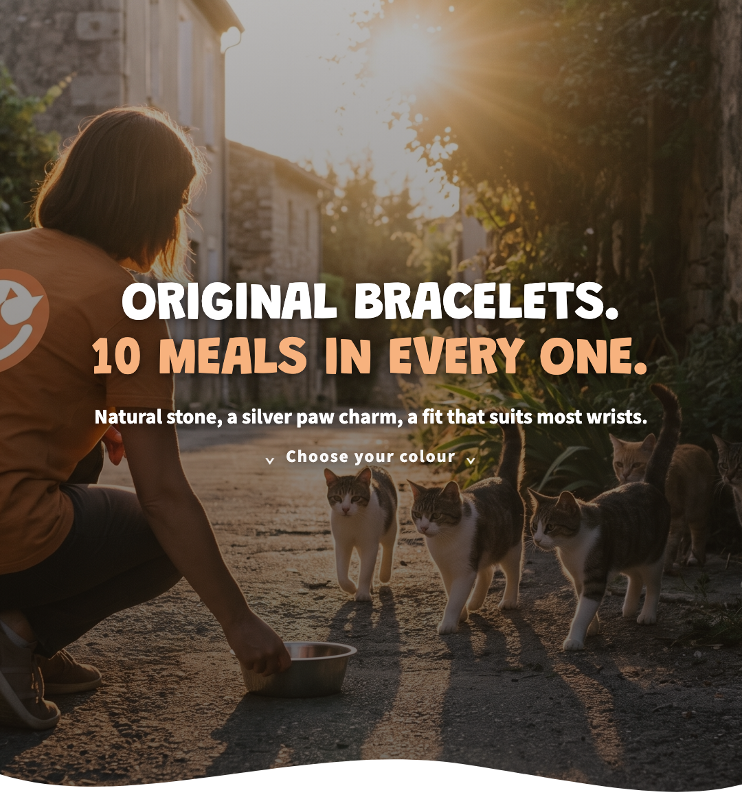 Original Bracelets