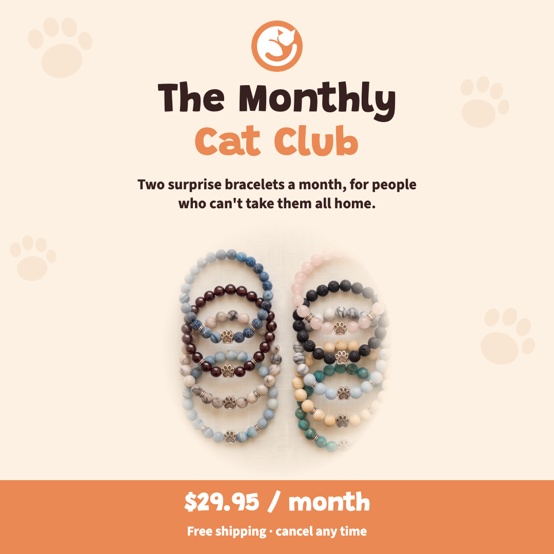 The Monthly Cat Club — title