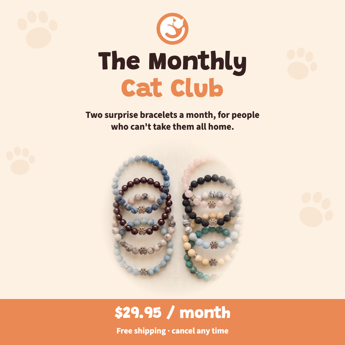 The Monthly Cat Club — title