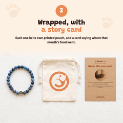The Monthly Cat Club — wrapped